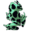 Frog & Toad