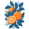 Delicious oranges