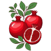 Pomegranate