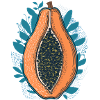 Papaya