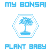 Bonsai Tree