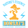 Bonsai Tree