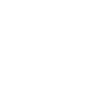 Bonsai Tree