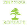 Bonsai Tree