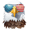 eagle head