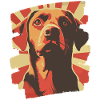 Labrador