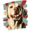 Labrador