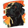Labrador