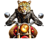 MOTORRAD LEOPARD