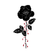 Bloody Rose
