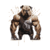 Bulldog Chien Muscles Musculation