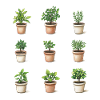 Flower Pots