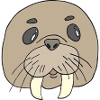 walrus