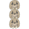 Walrus Triple Pack