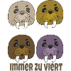 Walrus always in fours