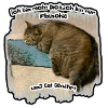 Dicke Katze