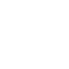 Boxer Dad