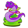 Snake Fitness Mature Gymnastics
