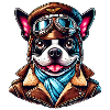 Bostie Pilot Design