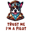 Trust Me, I'm a Pilot