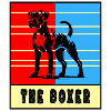 The Boxer – Strong Dog