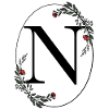 Letter N