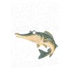 Gar