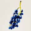Grapes