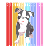 Boston Terrier