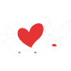 Boston Terrier