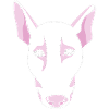 Bull terrier