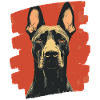 Doberman
