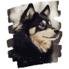 Finnish Lapphund