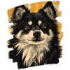 Finnish Lapphund