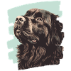 Newfoundland