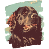 Newfoundland