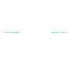 Racing Crew