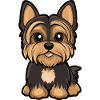 Yorkshire Terrier Dog Cute