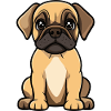 Bullmastiff Dog Cute
