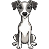 Whippet Chien Mignon