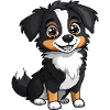 Australian Shepherd Dog Cute