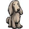 Chien de chasse afghan mignon
