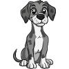 Great Dane Dog Cute