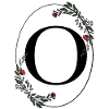 Letter O