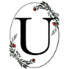 Letter U