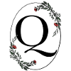 Lettre Q