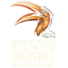 Nashornvogel