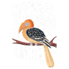 Nashornvogel