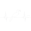Nashornvogel