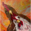 Rooster and chicken